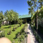 Kirayə (günlük) 3 otaqlı Həyət evi/villa Qəbələ 2