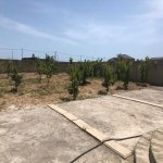 Продажа 3 комнат Дача, Шювалан, Хязяр район 8