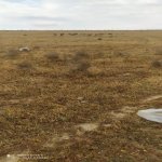 Продажа Участок, Мехдиабад, Абшерон район 10
