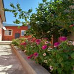Kirayə (günlük) 2 otaqlı Həyət evi/villa Şəki 2