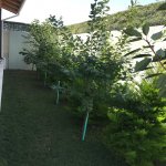 Satılır 5 otaqlı Həyət evi/villa, Buzovna, Xəzər rayonu 14