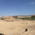 Satılır Obyekt, Qobu, Abşeron rayonu 22