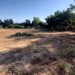 Продажа Участок, пос. Нардаран, Сабунчу район 8