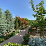 Kirayə (aylıq) 5 otaqlı Həyət evi/villa, Mərdəkan, Xəzər rayonu 30