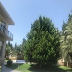 Продажа 4 комнат Дача, Шювалан, Хязяр район 12