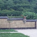 Kirayə (günlük) 4 otaqlı Həyət evi/villa Qax 11