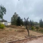 Satılır Torpaq, Mərdəkan, Xəzər rayonu 9