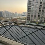 Satılır 1 otaqlı Yeni Tikili, 28 May metrosu, 28 Mall, Nəsimi rayonu 14