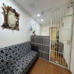 Аренда Объект, Насими район 5