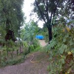 Продажа 10 комнатная Дома/Виллы Шеки 19