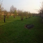 Satılır Torpaq Qəbələ 3