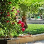 Satılır 7 otaqlı Həyət evi/villa, Mərdəkan, Xəzər rayonu 13