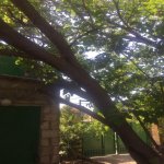 Satılır 5 otaqlı Bağ evi, Goradil, Abşeron rayonu 4