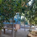 Kirayə (günlük) 4 otaqlı Həyət evi/villa İsmayıllı 2