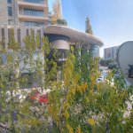 Kirayə (aylıq) 2 otaqlı Köhnə Tikili, 28 May metrosu, Nəsimi rayonu 16