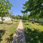 Satılır 8 otaqlı Həyət evi/villa Qəbələ 3