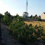 Satılır Torpaq, Qala, Xəzər rayonu 2
