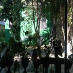 Satılır 3 otaqlı Həyət evi/villa Qəbələ 12