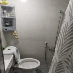 Kirayə (aylıq) 2 otaqlı Həyət evi/villa, Elmlər akademiyası metrosu, Yasamal rayonu 10