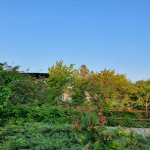Kirayə (aylıq) 5 otaqlı Bağ evi, Mərdəkan, Xəzər rayonu 16