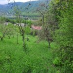 Satılır Torpaq, Yasamal rayonu 15