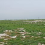 Продажа Участок, AAAF PARK 4