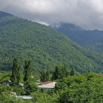 Satılır Torpaq Qəbələ 2