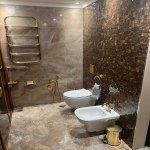 Kirayə (aylıq) 5 otaqlı Yeni Tikili, Gənclik metrosu, Zoopark, Nərimanov rayonu 15