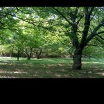 Продажа Участок Гябяля 3