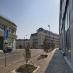 Kirayə (aylıq) Obyekt, Səbail rayonu 11