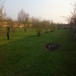 Satılır Torpaq Qəbələ 3