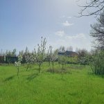 Satılır 4 otaqlı Həyət evi/villa Lənkəran 1