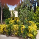 Kirayə (aylıq) 5 otaqlı Bağ evi, Mərdəkan, Xəzər rayonu 16