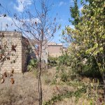 Satılır Torpaq, Saray, Abşeron rayonu 6