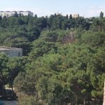 Kirayə (aylıq) 2 otaqlı Yeni Tikili Sumqayıt 11