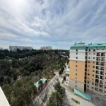 Kirayə (aylıq) 2 otaqlı Yeni Tikili Sumqayıt 9