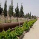Satılır Obyekt Sumqayıt 11