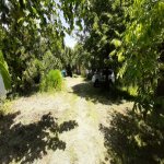 Kirayə (günlük) 3 otaqlı Həyət evi/villa Qəbələ 8