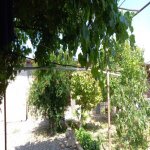 Satılır 3 otaqlı Həyət evi/villa Sumqayıt 7