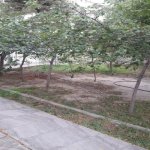 Satılır Torpaq, Nərimanov rayonu 5
