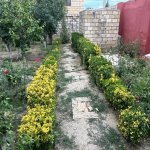 Satılır 4 otaqlı Həyət evi/villa Şirvan 15