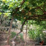 Satılır 2 otaqlı Həyət evi/villa, Koroğlu metrosu, Yeni Ramana, Sabunçu rayonu 10