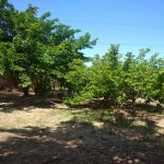 Satılır 3 otaqlı Bağ evi Sumqayıt 5
