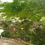 Продажа 5 комнатная Дома/Виллы, пос. Бадамдар, Сябаиль район 21