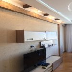 Kirayə (aylıq) 3 otaqlı Yeni Tikili, Nərimanov rayonu 3