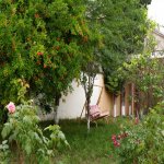 Satılır 6 otaqlı Bağ evi, Goradil, Abşeron rayonu 9