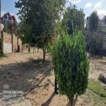 Satılır Torpaq, Saray, Abşeron rayonu 2