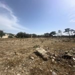 Satılır Torpaq, Şüvəlan, Xəzər rayonu 4