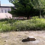 Kirayə (günlük) 3 otaqlı Bağ evi Şəki 7