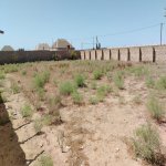 Satılır Torpaq, Zirə, Xəzər rayonu 2